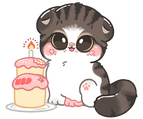 birthday birthday