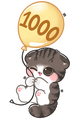 1000 1000